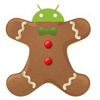 Android 3.0 aka Gingerbread reveals new features